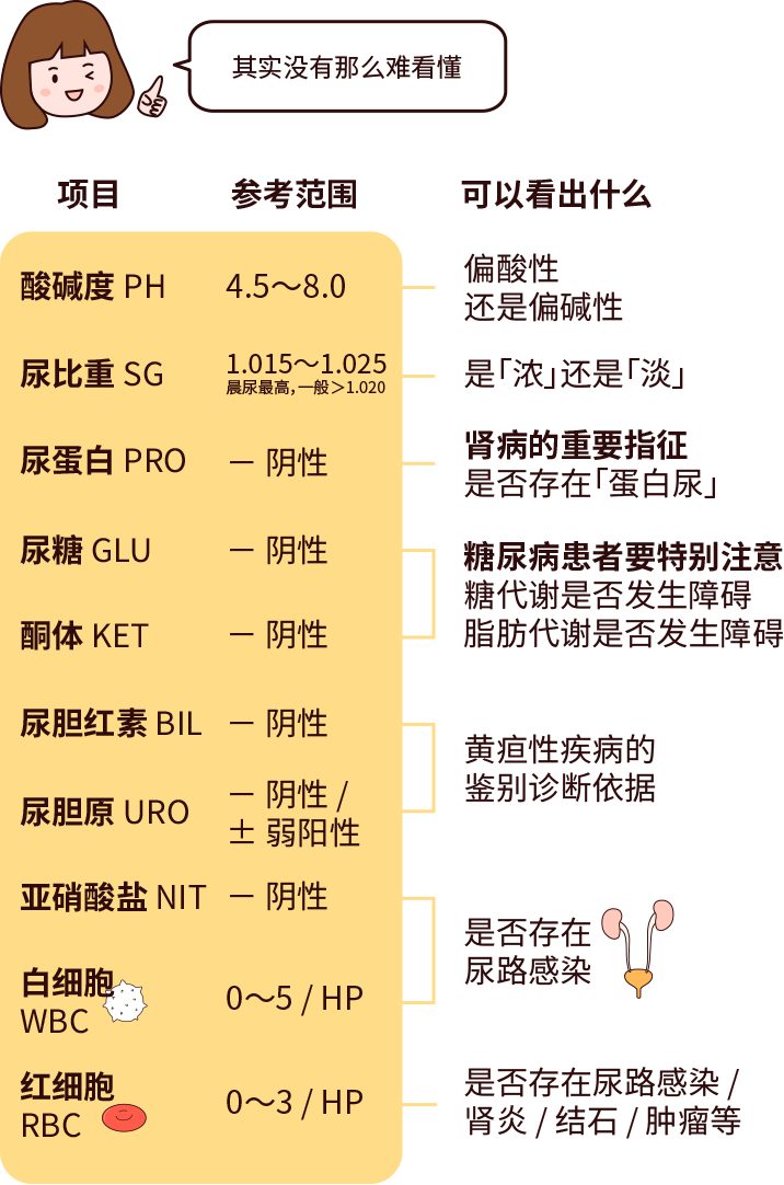 排尿黄、异味大，可能是身体在报警！